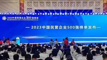 sunbet集团位列2023中国民营企业500强第203位、2023中国制造业民营企业500强第139位