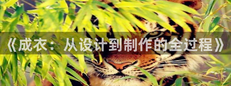 sbo利记体育官网