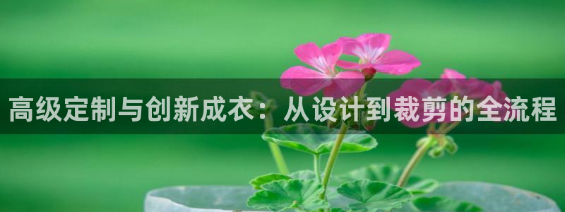 利记sbobet官网电脑版