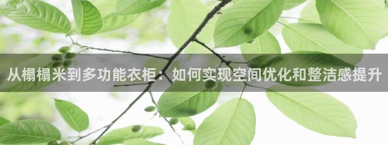 利记手机官网银河网
