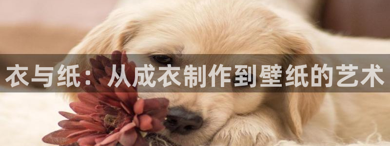 利记官网app下载网址日博官网网址