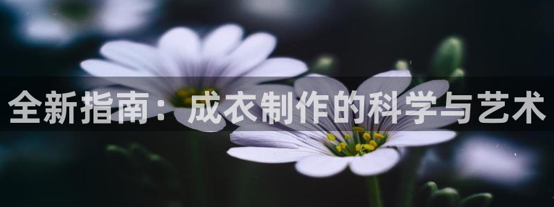 香港利记集团官网旗舰店