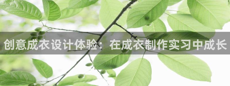 利记体育官网