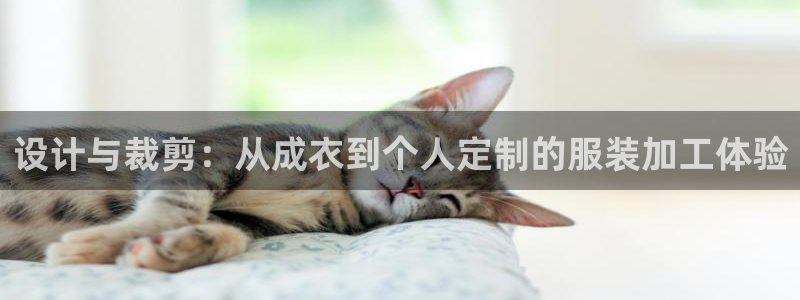 利记官网在线投注