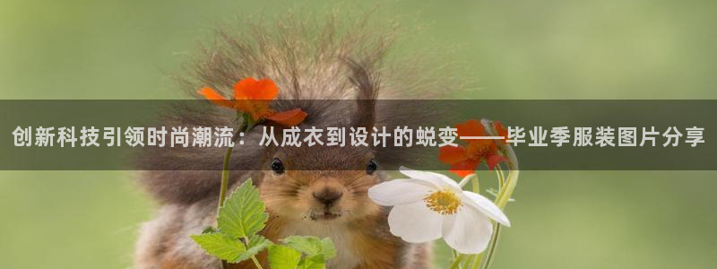 利记官网app