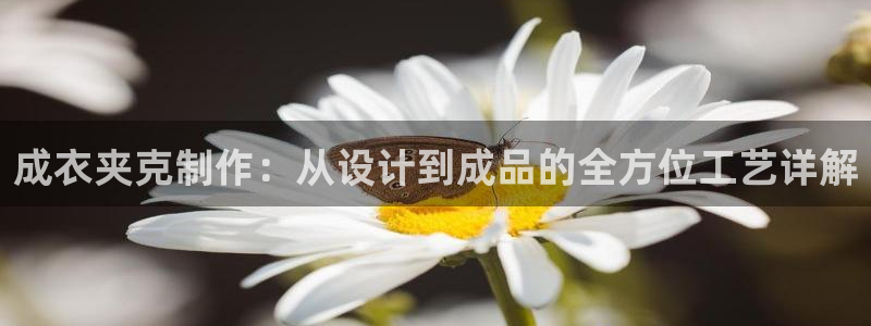 利记官网备用网址