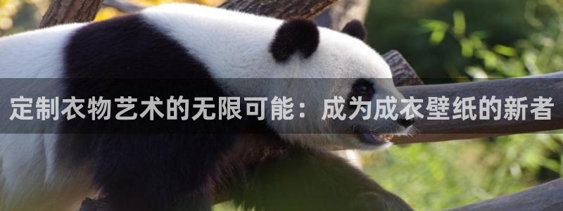 利记app官网真人游戏