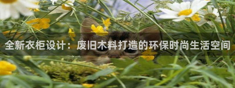 利记官网是真的吗