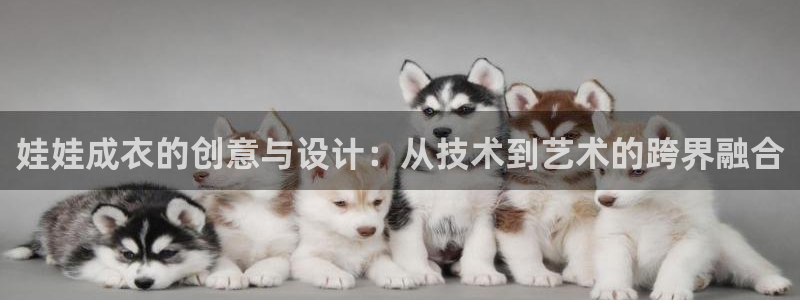 利记体育平台官网