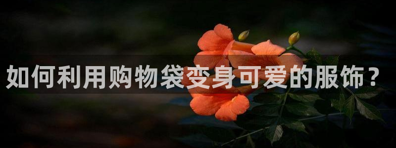 利记官网备用网址