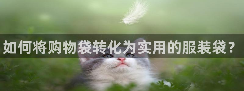 sbo利记体育官网注册