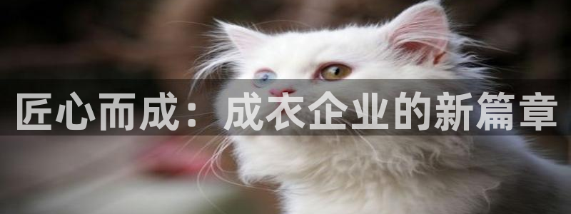 sbo利记体育官网注册