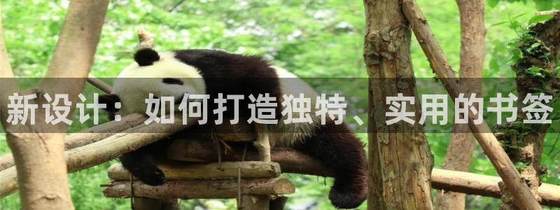 利记sbobet官网电脑版