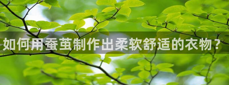 利记sbobet官网电脑版