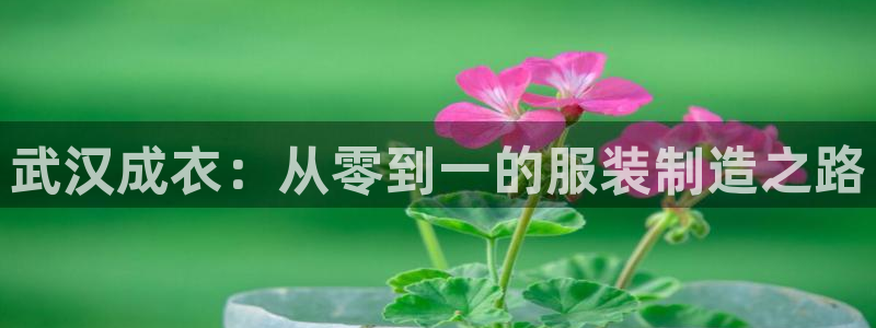 利记官网会员登录