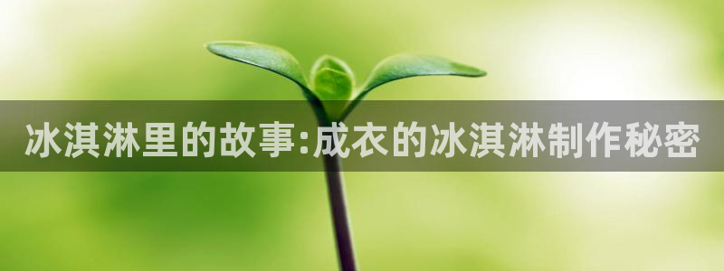 利记官网备用网址