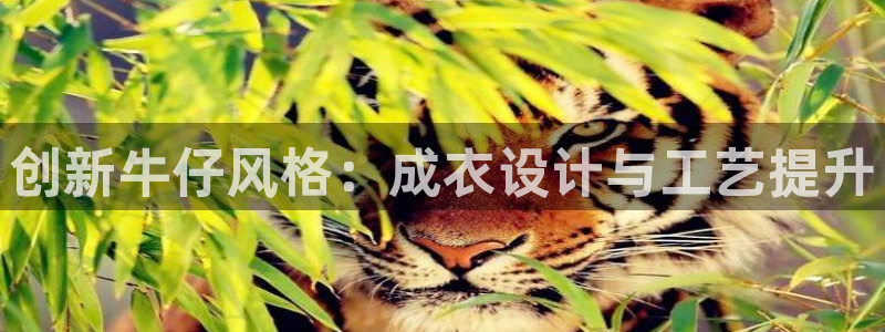 利记官网备用网址